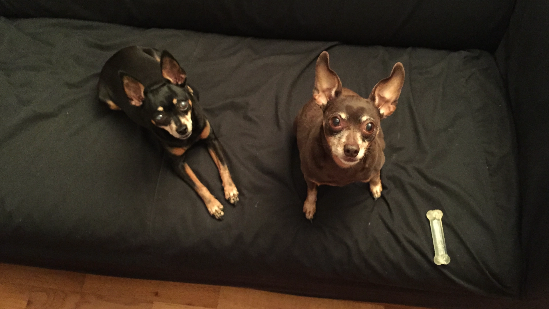 Lolakana Martial Arts