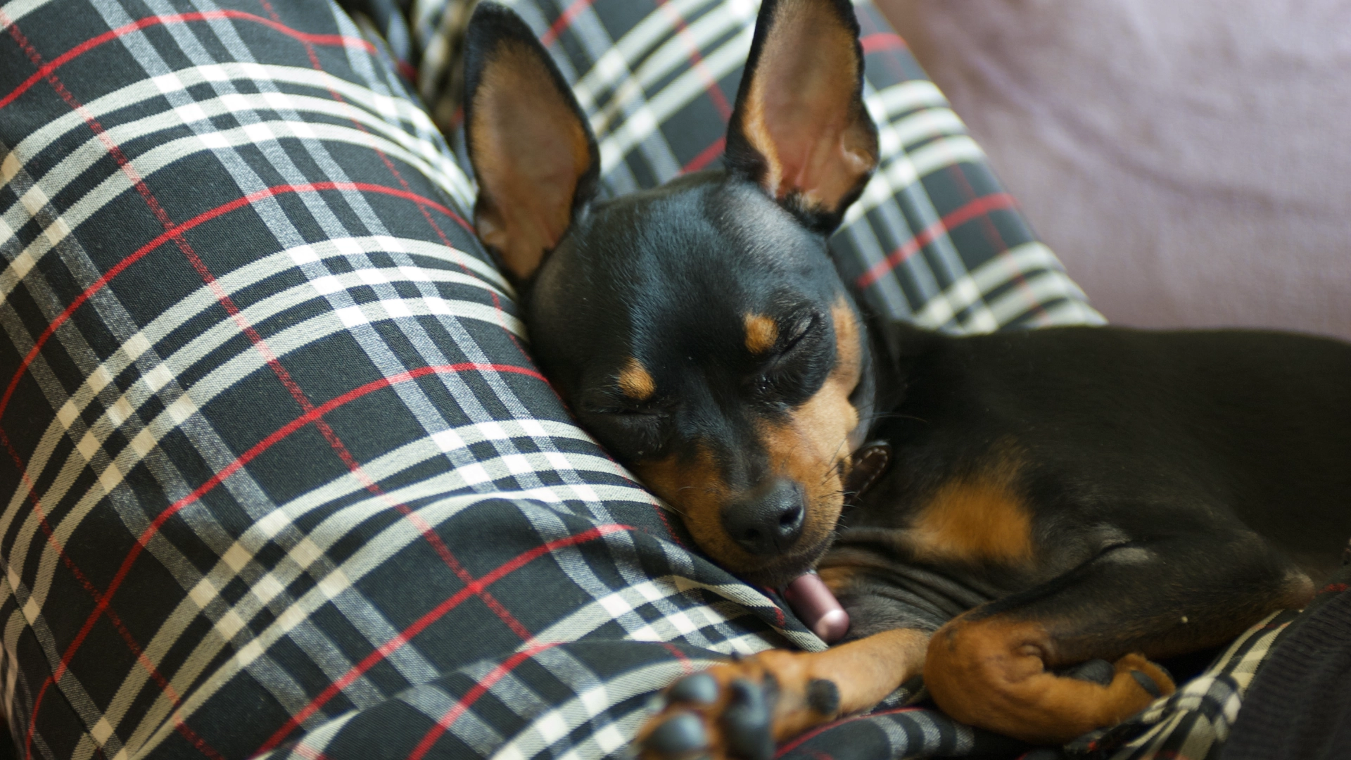 Lolakana Martial Arts