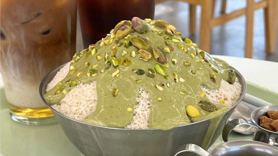 plant-based for brazilian jiu-jitsu