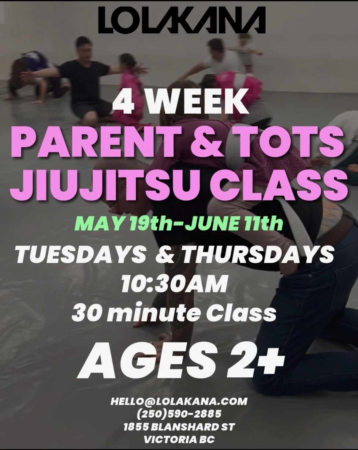 4 week parents and tots jiu-jitsu class starting may 19th to june 11th Tuesdays and Thursdays at 10:30am. 30 minute class, up to 60 minute play time afterwards ages 2+